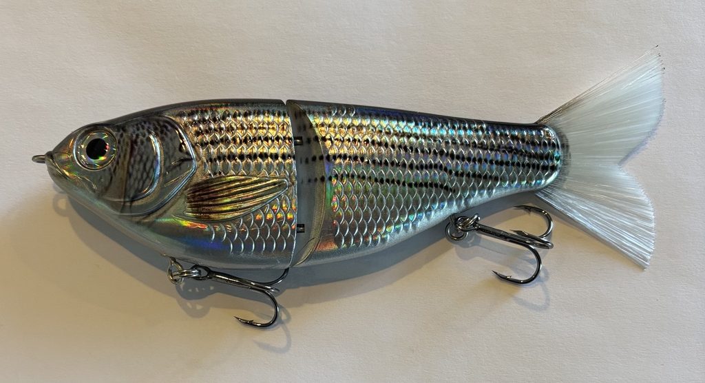 Emerald Shiner