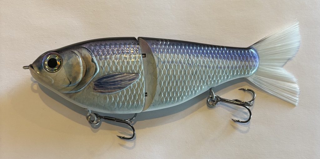 Lavender Shad