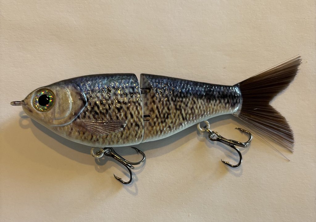 Crappie