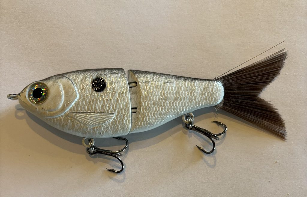 Mirror Minnow